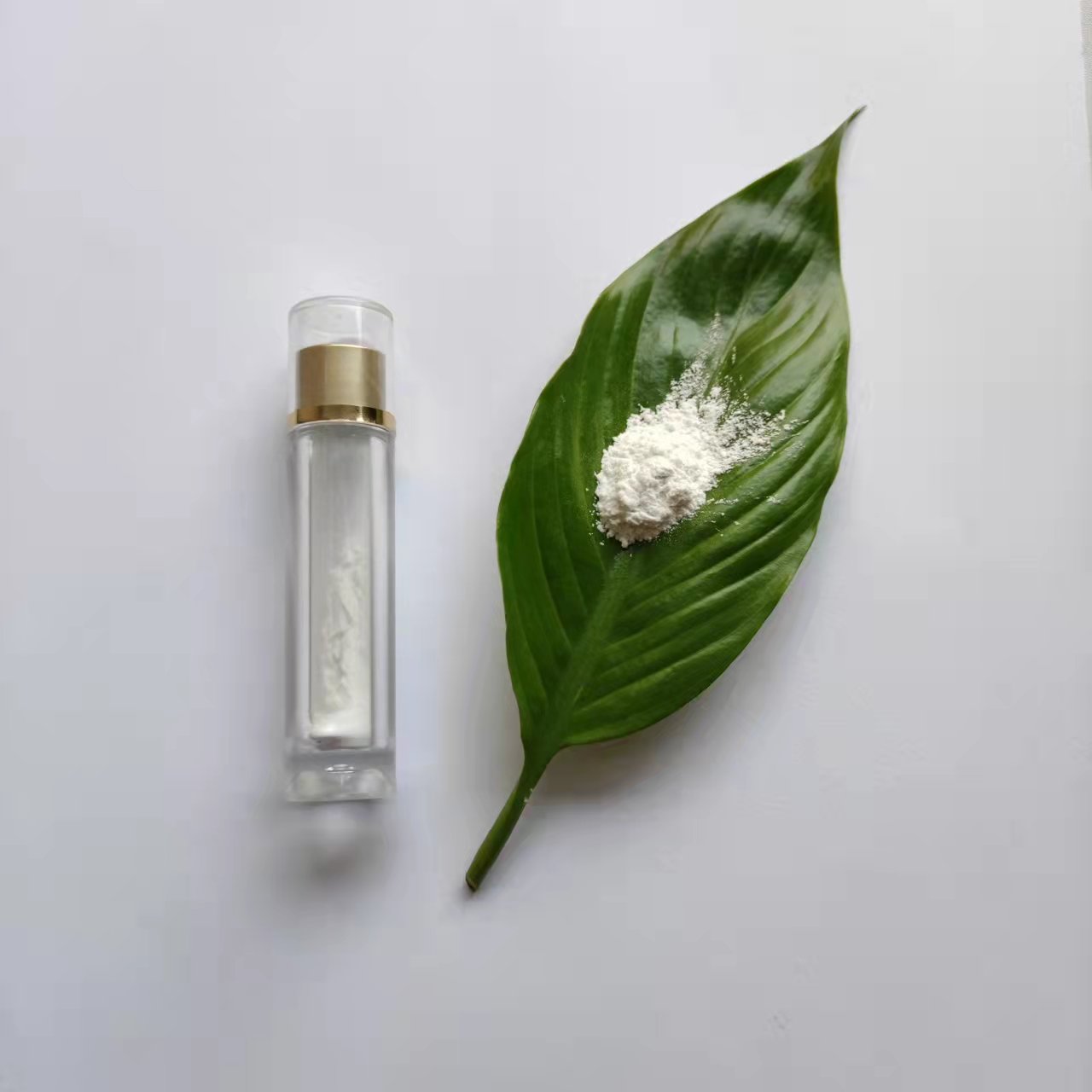 {Xĩ XˮɢҺ ż(lin) ͿĥӲ